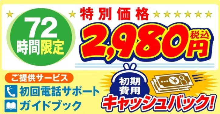72時間限定特別価格2,980円(税込み)