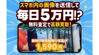 株式会社コンサル(早矢仕 裕幸)の記事画像、サムネイル